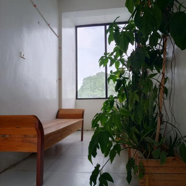 Maui Homestay, Book  General Luna Siargao Island