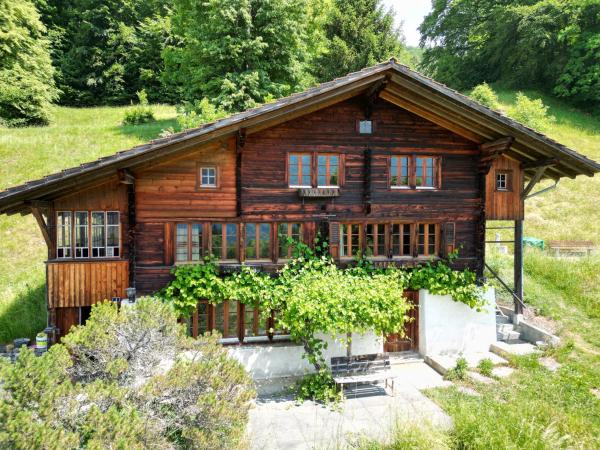 Meieli's Chalet, Book Chalet Hofstetten Lake Brienz