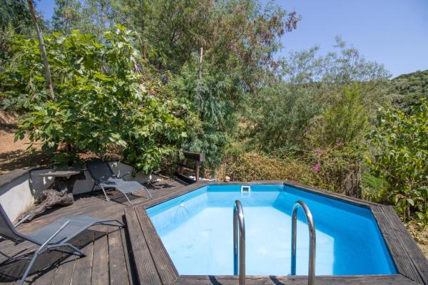 Villa a Croce, Book  Hoteller i Korsika med pool, Swimmingpool