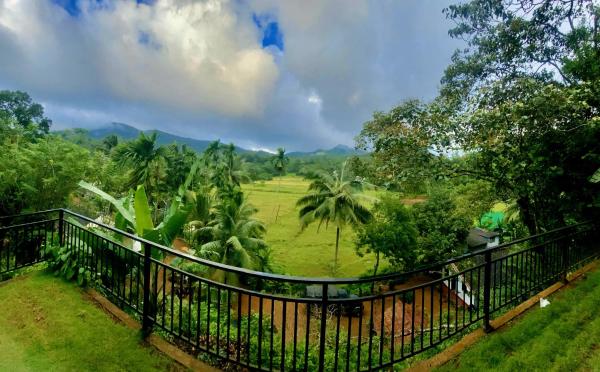 Rainforest Border Edge, Book  Billige hoteller i Matara