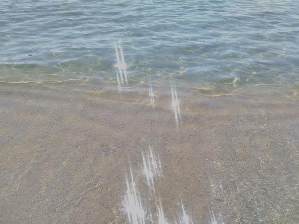 Apartment Alen Mak, Book Lejlighed Golden Sands 