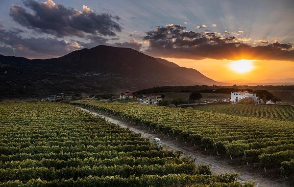 Giardino Delle Oche - Ocone Taburno Wine County, Book  Ponte 