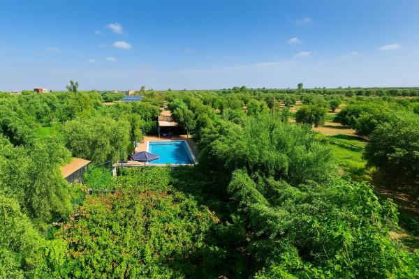 Eco Farm Tayssir Marrakech, Book  Marrakech-Tensift-Haouz hoteller med pool, Swimmingpool