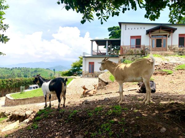 Amazi Land Home and Farm Stay, Book  Kibuye Gitsi