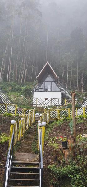 The Soul Of Vattavada, Book  Vattavada New Delhi