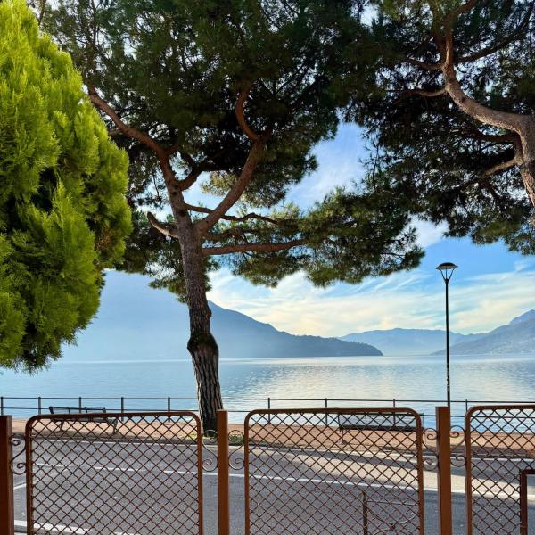 Vista Lago - Lake Como collection, Book  Domaso Como