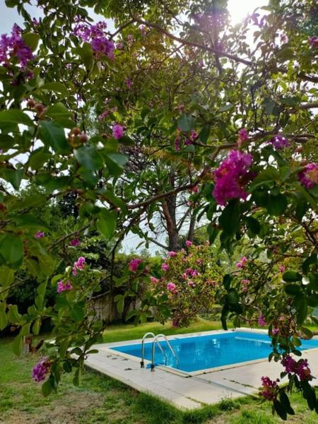 Villa indépendante avec piscine au rdc, Book  Nyons hoteller med pool, Swimmingpool