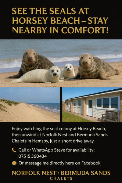 Norfolk Nest 2 bedroom chalet new media wall, Book Chalet Hemsby 