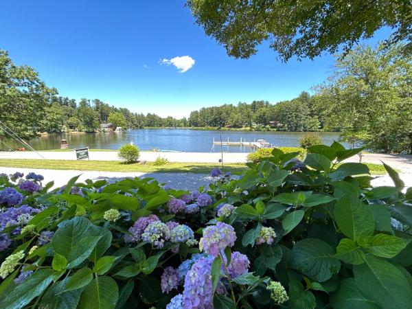 Mountain Lake Cottages, Book  Hendersonville North Carolina