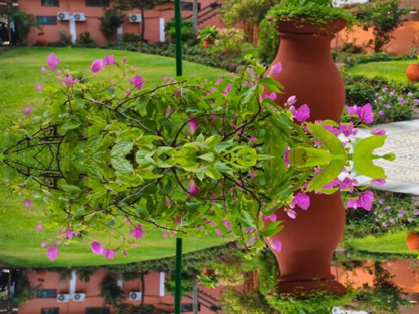 Gratitude Lodge, Book  Cotonou 