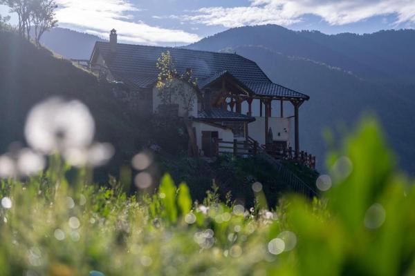 Alpin Zeneli Chalet, Book Chalet Kukës County Sommerhuse, Hytte