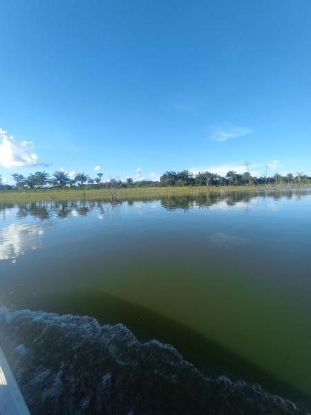 Pousada recanto das palmeiras, Book  Hoteller i West-Central Brazil med pool, Swimmingpool