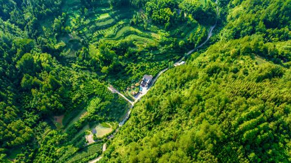 Your Quiet Place, Book  Xinglong Hunan