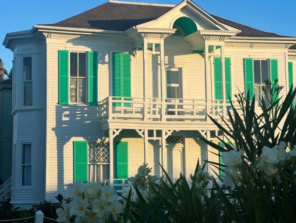 Lotus Galveston, Book  Galveston Houston