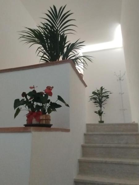 Valdambra B&B, Book  Ambra Valdarno
