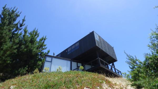 Casalmar Pupuya, Book  Pupuya O'Higgins