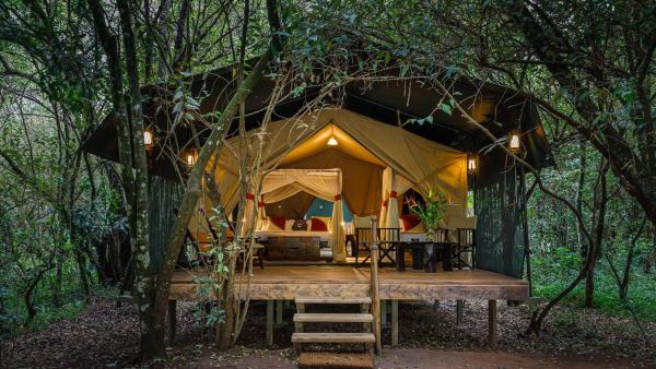 Soroi Mara Bush Camp, Book  Talek Maasai Mara National Reserve