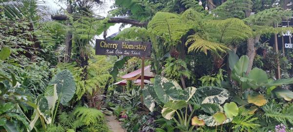 Cherry HomeStay & coffee, Book  Dak Lak hoteller med pool, Swimmingpool