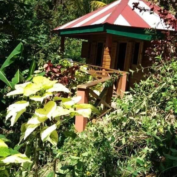 Berkey's Jungle Paradise Resort, Book  Roseau Dominica