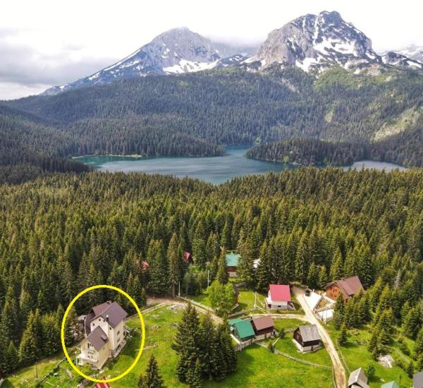 Apartment Durmitor, Book Lejlighed Žabljak Zabljak County