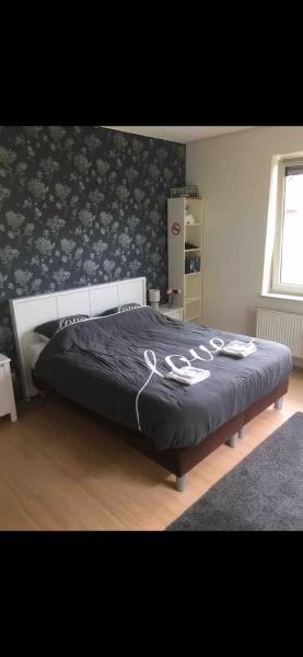 De Groene Oase, Book  Harkstede Groningen