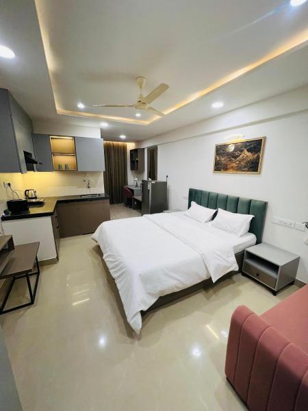 The Sleepy Monkey, Book  Jaipur Jaipur Region