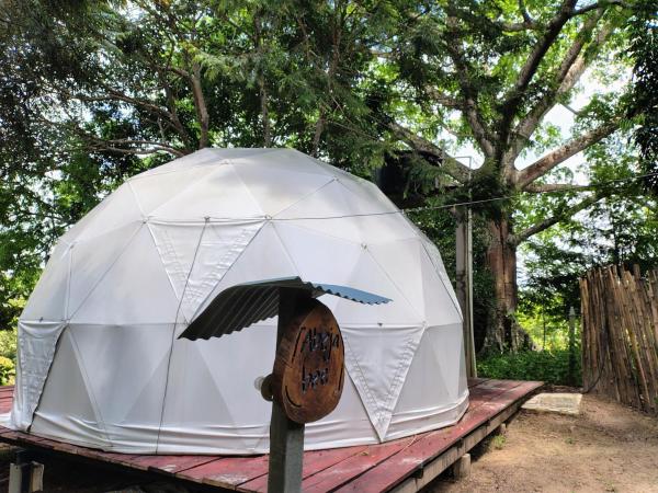 Glamping Aveja, Book Campingplads San José del Guaviare Colombia