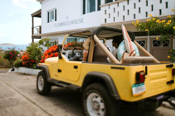 The Flamingo House, Book  Contant Saint Thomas