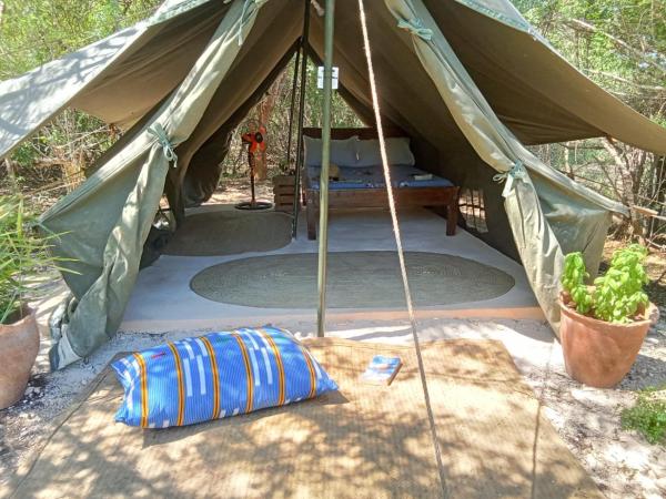 The Shamba, Book  Billige hoteller i Coast Region