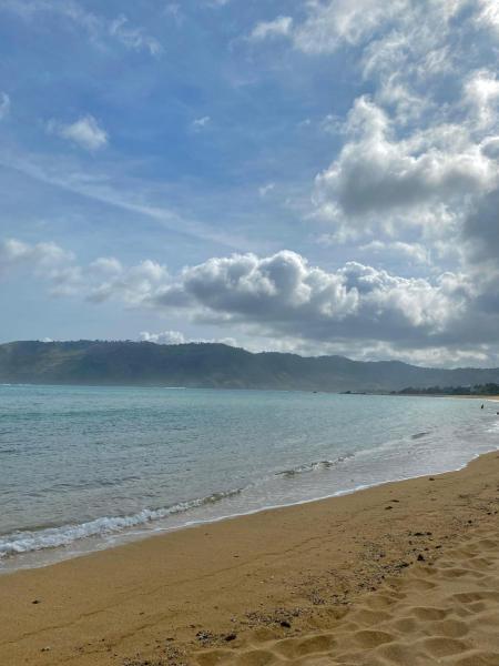 Rumah Putih Edi, Book  Sengkol Lombok