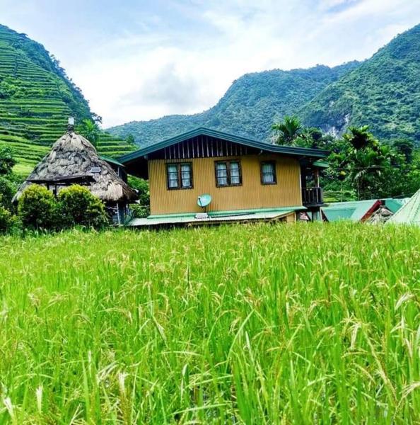 Batad Village Homestay & Restaurant, Book   