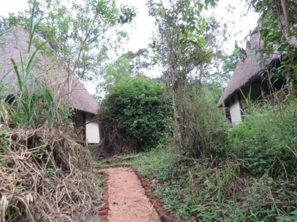 Kibale Forest Cottages And Campsite, Book  Billige hoteller i Western Uganda