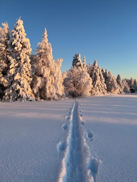 Villa Metsälä, Book  Hoteller i North Ostrobothnia med parkering, Parkering