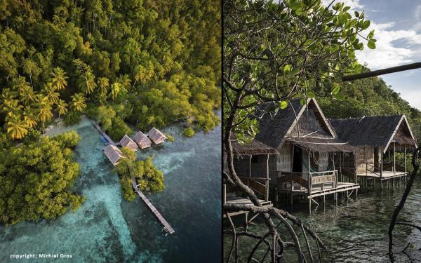 Nyandesner, Book  Pulau Mansuar 