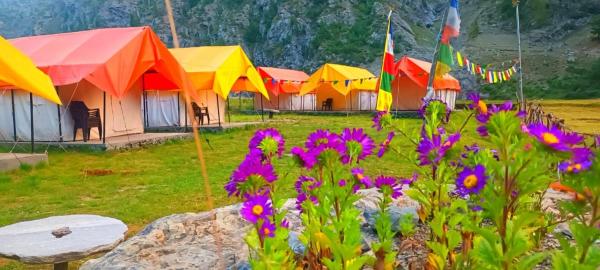 Kangal Camps Miyar Valley, Book  Karpat Himachal Pradesh