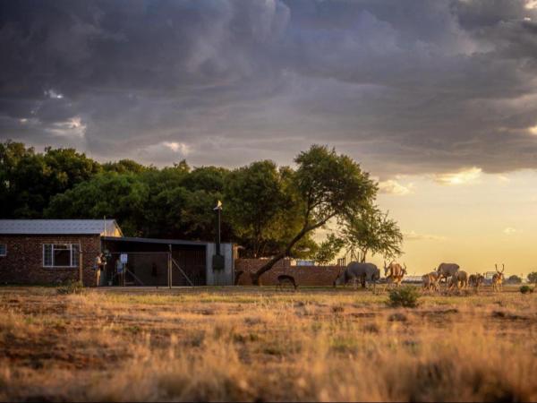 Anna Africa Guest House, Book  Bloemfontein Free State