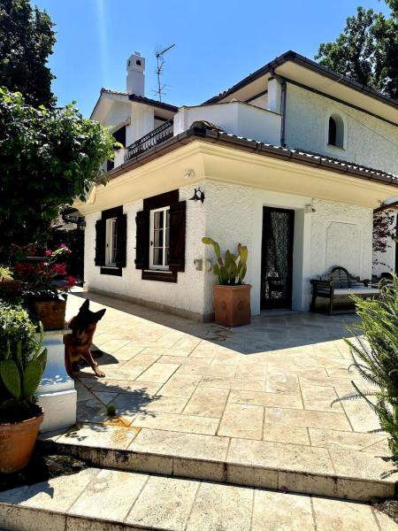 Villa Lavinia, Book  SantʼAlfonso Lazio