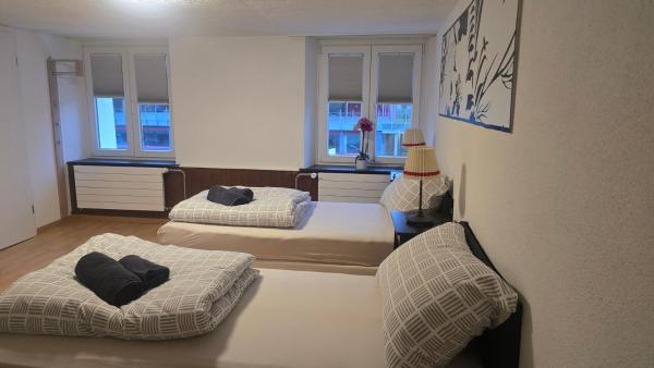 Muhusin Apartments Trimbach, Book Lejlighed Trimbach Canton of Solothurn