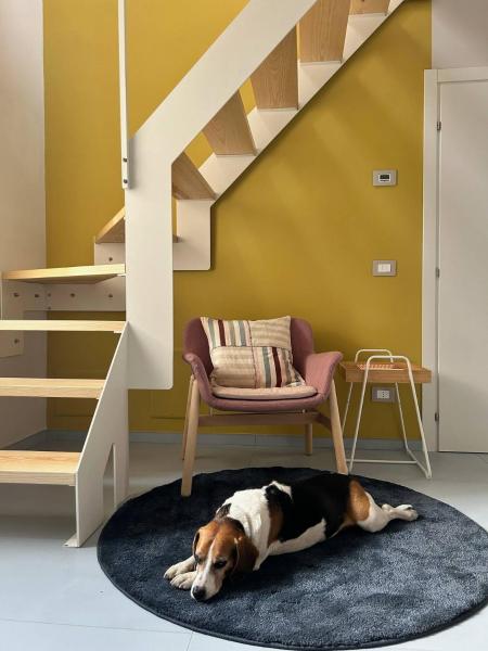 Casa I Merletti, Book  Lunano Marche