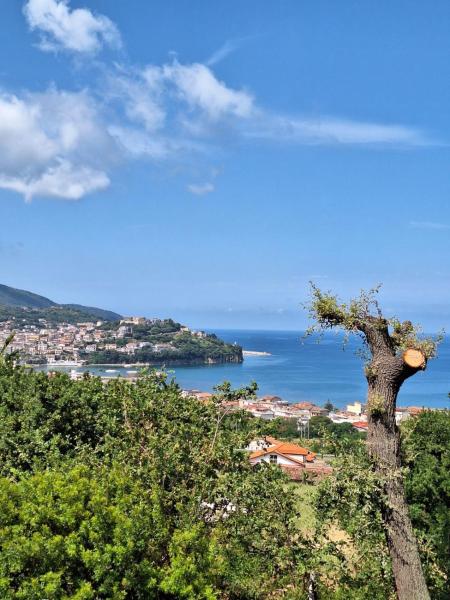 Querce vista mare, Book  Agropoli Cilento Coast
