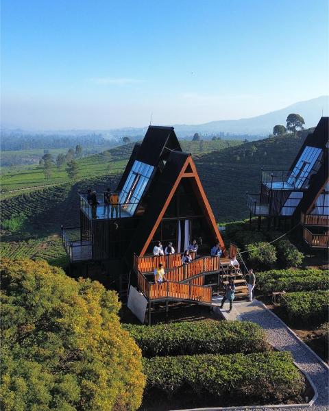 Nimo Tea Resort