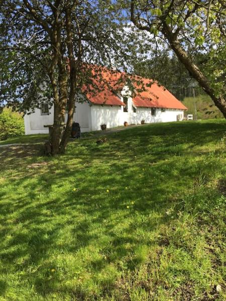 Vacation home on the Half island Helgenæs, Book  Knebel Midtjylland