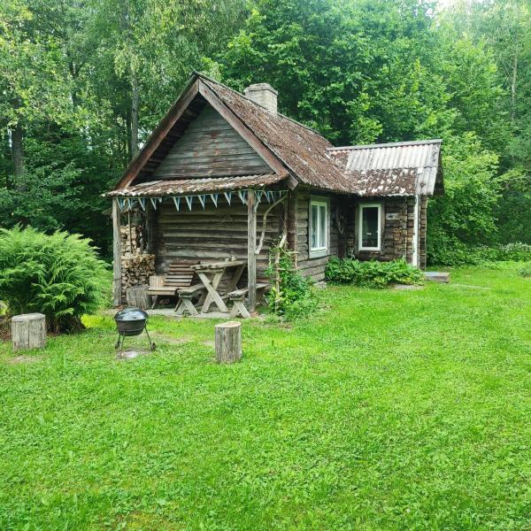 Tiny Cozy House, Book   