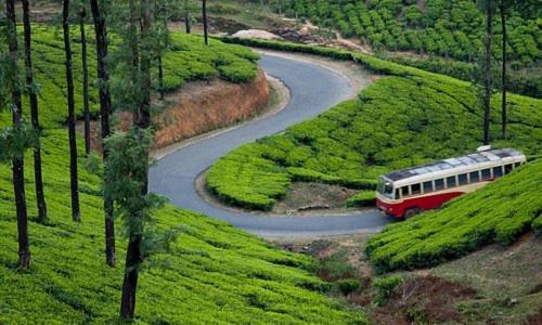 Green and Green, Book  Vagamon New Delhi