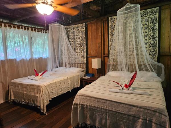 Creekside Oasis, Book  San Felipe Toledo