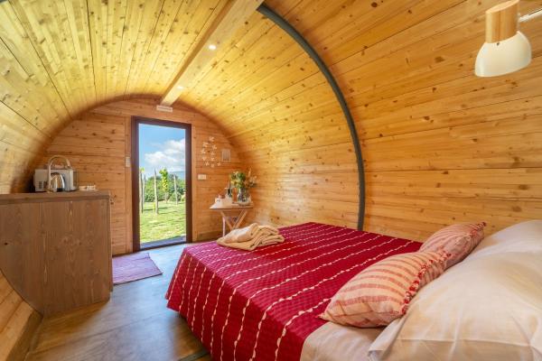 Dormire in una botte - Antiche Vigne Pironti, Book  Marzi Calabrien