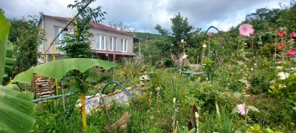 Guest House David, Book  Imereti hoteller med parkering, Parkering