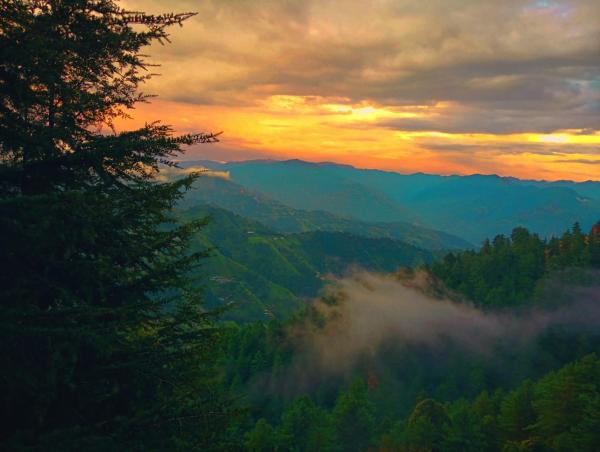 Sunrise Homestay, Book  Cheog Himachal Pradesh