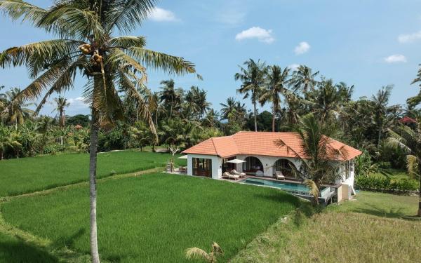 Villa Léna - 3 Bedroom Villa Amidst Ubuds Rice Fields, 180 degree View, Book  Hoteller i Bali med pool, Swimmingpool