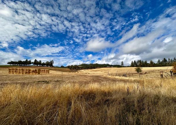Farmhouse RV - Sunset Pergola - Fire Pit - Views, Book  Jacksonville Applegate Valley
